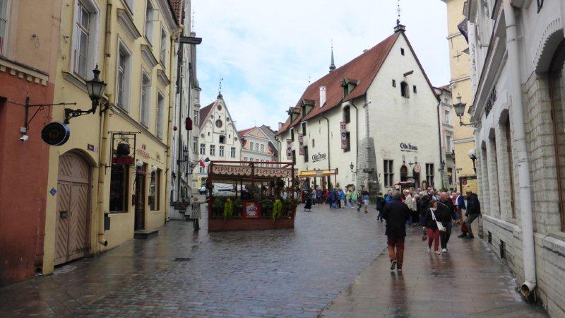 P1000599 - Kopie.JPG